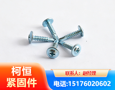 凉山华司钻尾丝